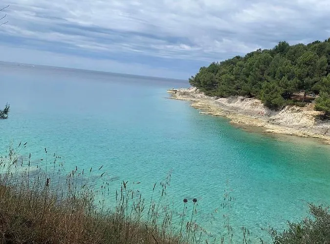 Augusta Διαμέρισμα