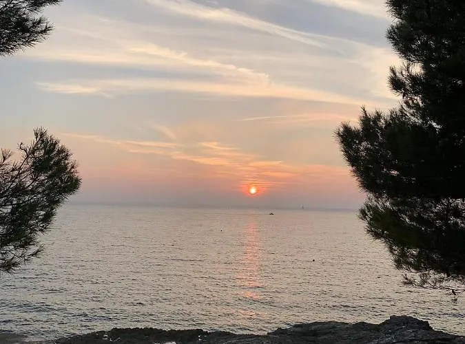 Augusta * Πούλα