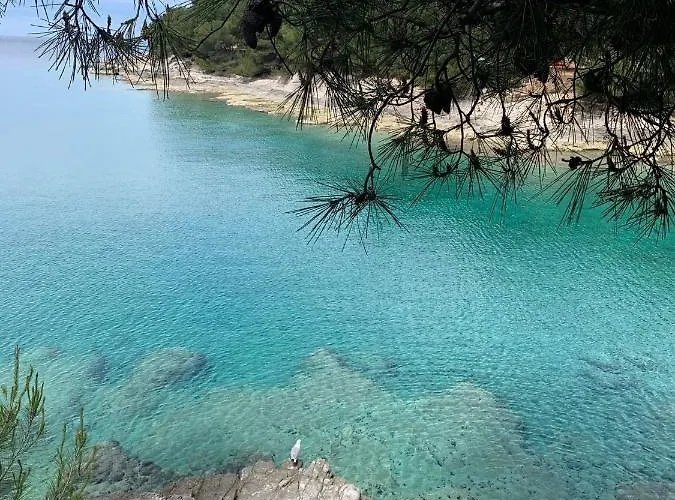 Augusta Διαμέρισμα Πούλα